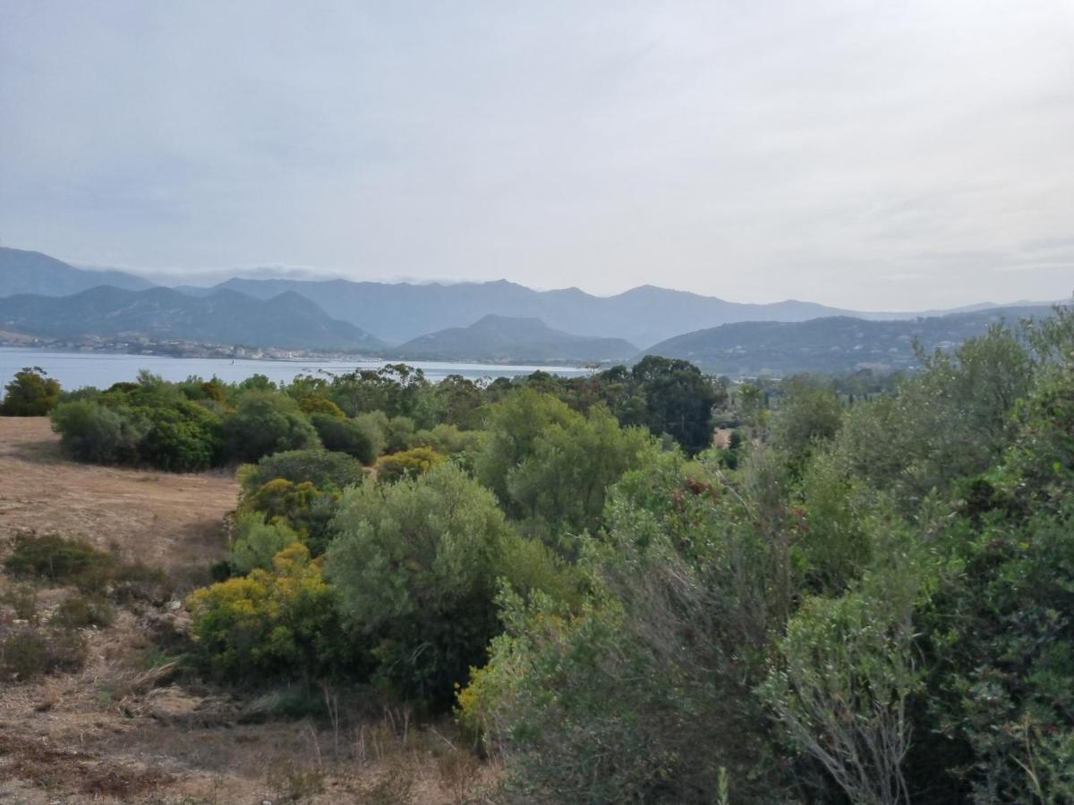 Florent Oletta * Saint-Florent (Corsica)